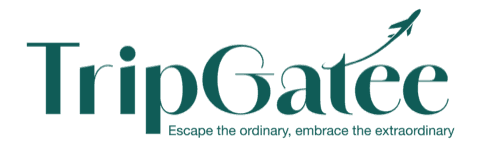 TripGatee, TripGatee Brand Identity